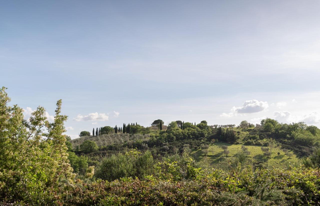 Residenza Il Falchetto Assisi Kültér fotó